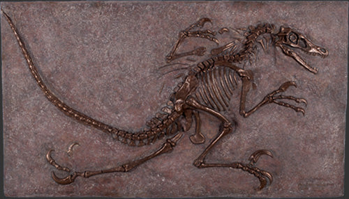Velociraptor Dig Panel #2 Velociraptor skeleton Dinosaur Sand Pit