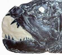 Load image into Gallery viewer, Xiphactinus audux fossil fish cast replica #2 panel