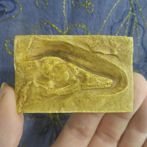 Archaeopteryx 