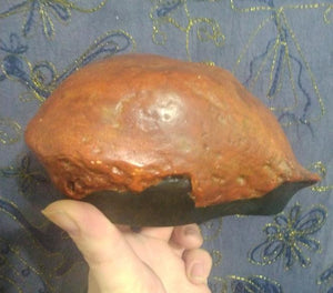 Homo erectus: Java Man skull cap cast replica Trinil