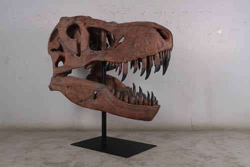 T.rex skull cast replica sculpture