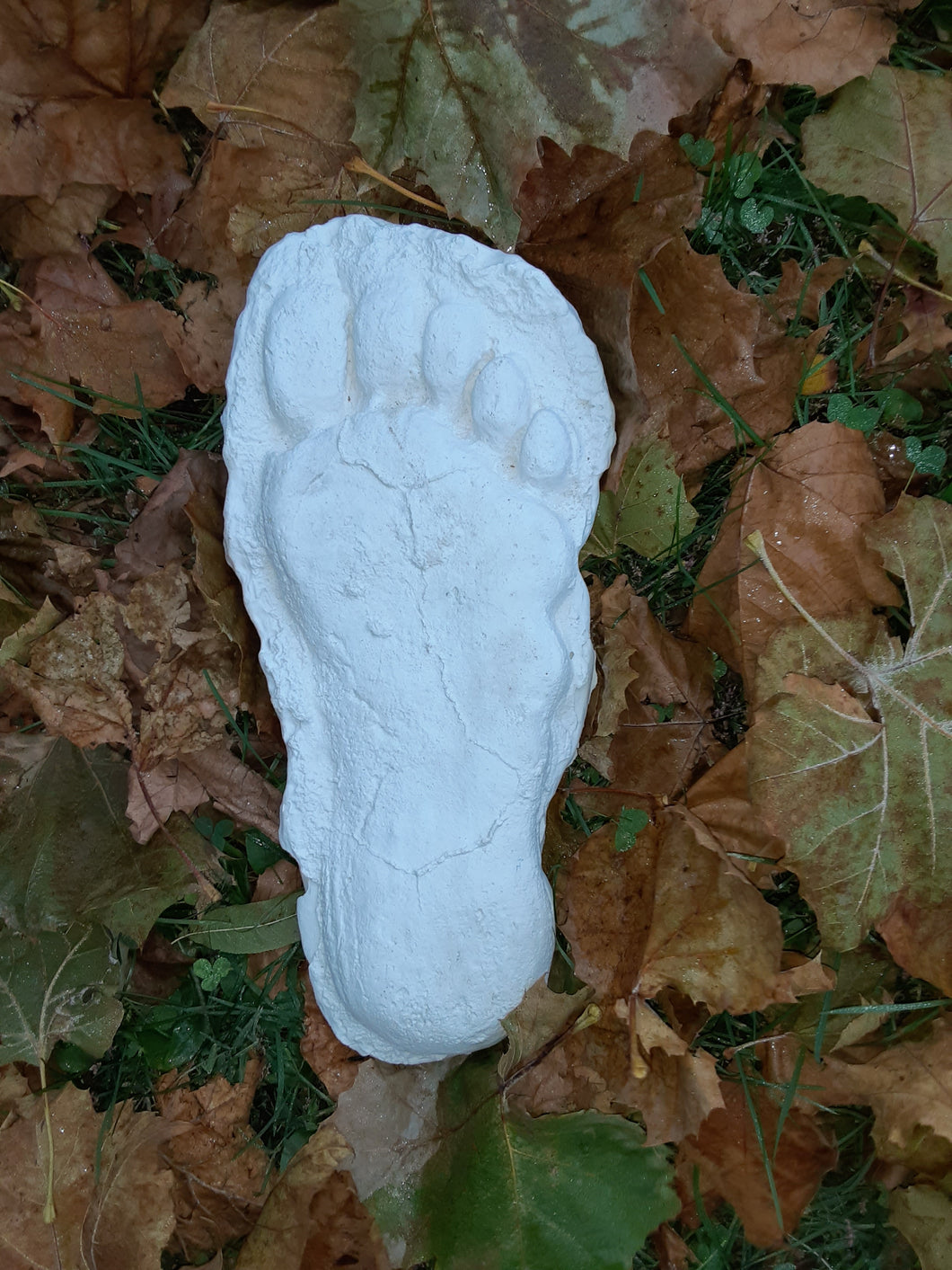 1982 Grays Harbor Hereford Bigfoot print cast 