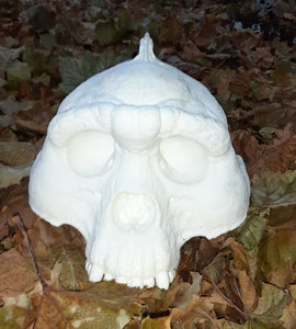 Bigfoot Skull Cast Artistic Interpretation by Master artist.