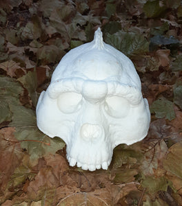Bigfoot Skull Cast Artistic Interpretation by Master artist.
