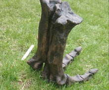 Load image into Gallery viewer, Tyrannosaurus Rex T.rex foot cast replica T-rex