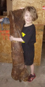 T.rex femur cast replica #1 Ivan the T-Rex