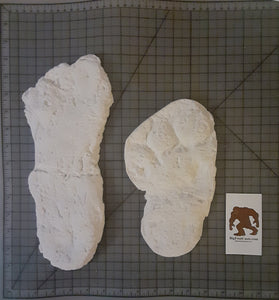 2003 Bayou Bigfoot Sabine River, Texas Bigfoot print casts set of 2 tracks