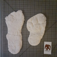 画像をギャラリービューアに読み込む, 2003 Bayou Bigfoot Sabine River, Texas Bigfoot print casts set of 2 tracks