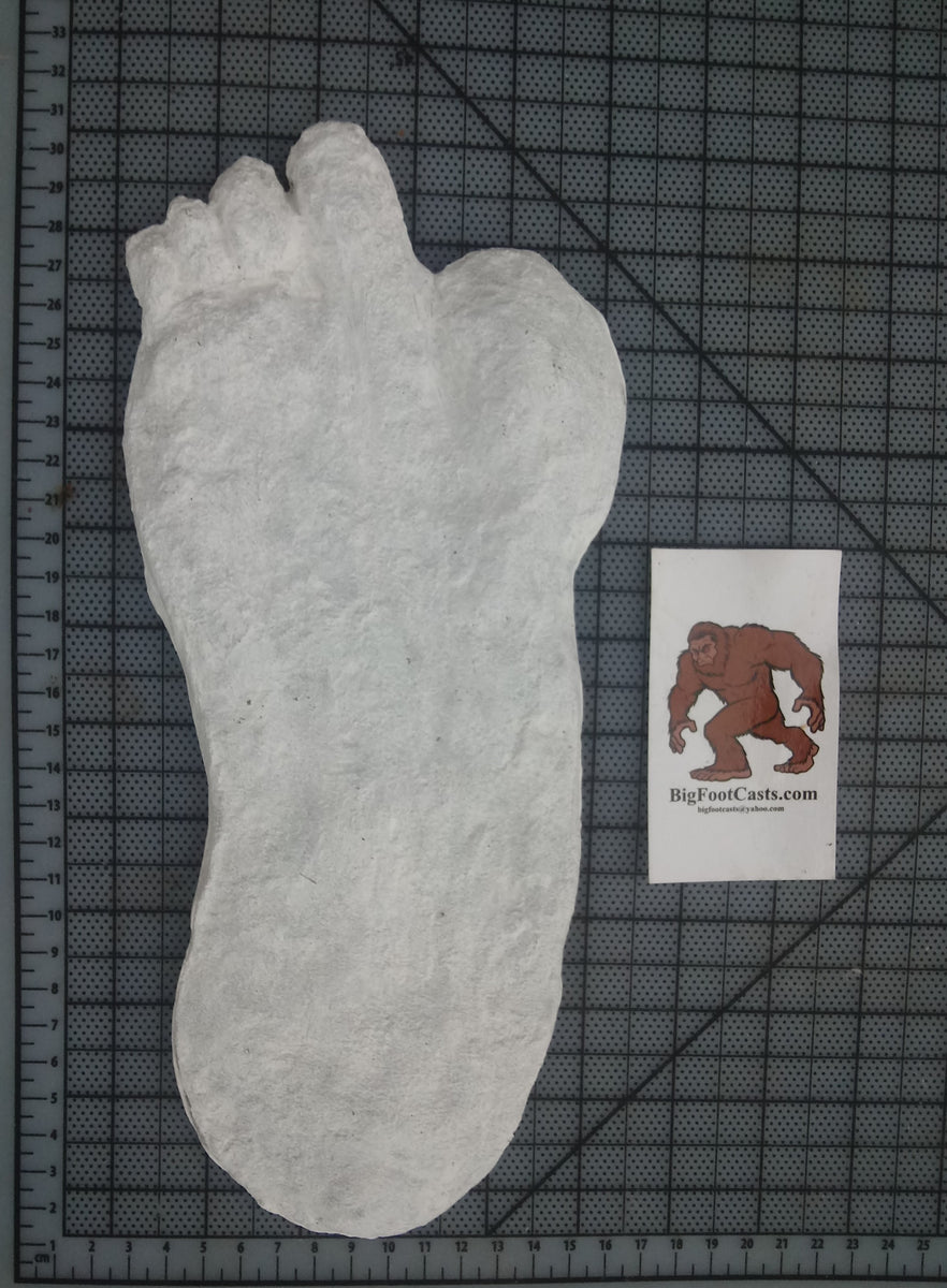 1951 Yeti #2 footprint cast replica track – TaylorMadeFossils.com and ...