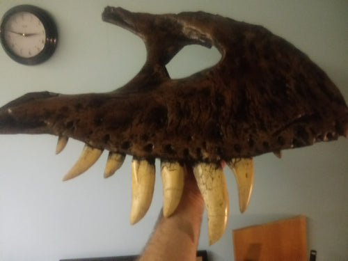 T.rex maxilla cast Harley the T.rex