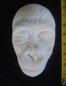 Gorilla: Juvenile Gorilla Face Death cast Life cast Baby Gorilla