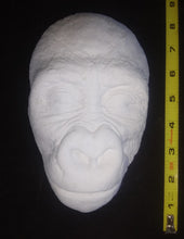 Load image into Gallery viewer, Gorilla: Juvenile Gorilla Face Death cast Life cast Baby Gorilla