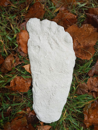 1963 Laird Meadow road Bigfoot cast replica track