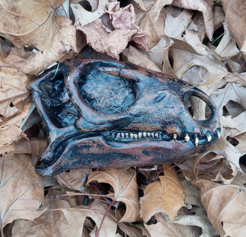 Othneilia Nanosaurus rex dinosaur skull cast replica