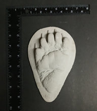 Load image into Gallery viewer, Bear: Footprint Juvenile Black Bear Footprint Cast Replica