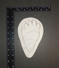 Load image into Gallery viewer, Bear: Footprint Juvenile Black Bear Footprint Cast Replica