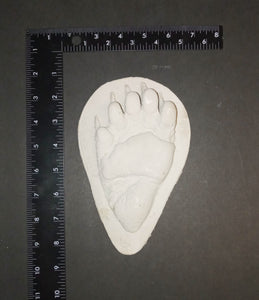 Bear: Footprint Juvenile Black Bear Footprint Cast Replica