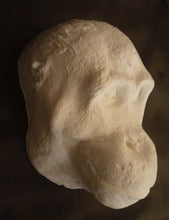 Load image into Gallery viewer, Orangutan Death Mask #1 Orangutan (female) death cast replica Life cast