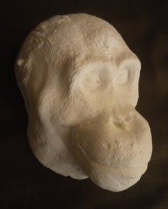 Orangutan Death Mask #1 Orangutan (female) death cast replica Life cast