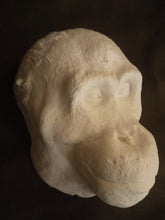 Load image into Gallery viewer, Orangutan Death Mask #1 Orangutan (female) death cast replica Life cast