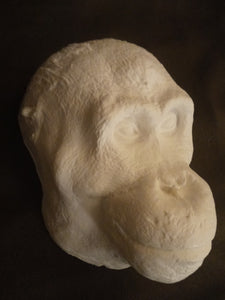 Orangutan Death Mask #1 Orangutan (female) death cast replica Life cast