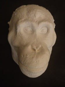 Orangutan Death Mask #1 Orangutan (female) death cast replica Life cast