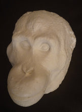 Load image into Gallery viewer, Orangutan Death Mask #1 Orangutan (female) death cast replica Life cast