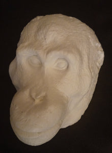 Orangutan Death Mask #1 Orangutan (female) death cast replica Life cast