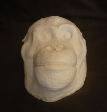 Load image into Gallery viewer, Orangutan Death Mask #1 Orangutan (female) death cast replica Life cast