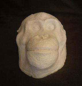 Orangutan Death Mask #1 Orangutan (female) death cast replica Life cast