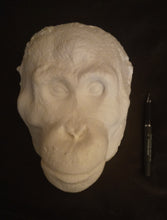 Load image into Gallery viewer, Orangutan Death Mask #1 Orangutan (female) death cast replica Life cast