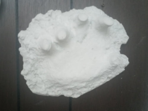 1994 Bigfoot Hand cast #3 Bigfoot (Sasquatch) Freeman handprint cast