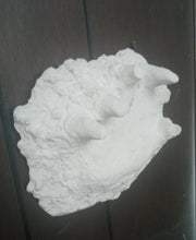 Cargar imagen en el visor de la galería, 1994 Bigfoot Hand cast #3 Bigfoot (Sasquatch) Freeman handprint cast