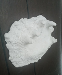 1994 Bigfoot Hand cast #3 Bigfoot (Sasquatch) Freeman handprint cast