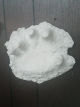 Cargar imagen en el visor de la galería, 1994 Bigfoot Hand cast #3 Bigfoot (Sasquatch) Freeman handprint cast