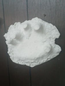 1994 Bigfoot Hand cast #3 Bigfoot (Sasquatch) Freeman handprint cast