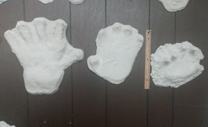 1994 Bigfoot Hand cast #3 Bigfoot (Sasquatch) Freeman handprint cast