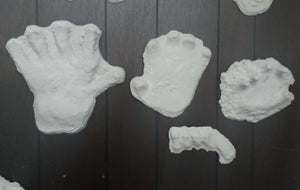 1994 Bigfoot Hand cast #3 Bigfoot (Sasquatch) Freeman handprint cast