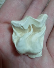 Cargar imagen en el visor de la galería, Brontotherium partial tooth cast