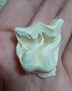 Brontotherium partial tooth cast