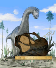 Load image into Gallery viewer, Camarasaurus skull cast replica #3