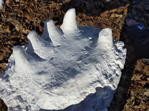 1994 Bigfoot Hand cast #3 Bigfoot (Sasquatch) Freeman handprint cast