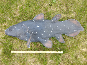 Coelacanth cast life cast replica Latimeria