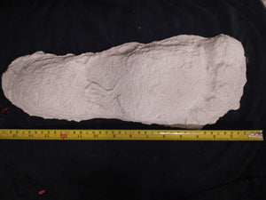 1967 New Bigfoot Patterson "Patty #2" track footprint cast