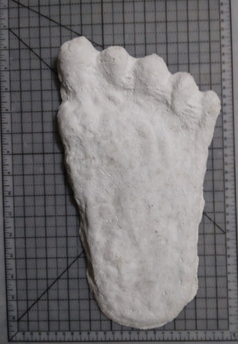 1960 Bigfoot cast Peter Byrne Bigfoot print cast