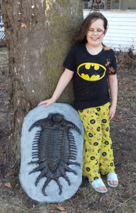 Terataspis grandis (Giant Trilobite) Cast Replica