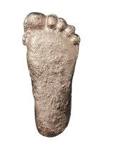 Laden Sie das Bild in den Galerie-Viewer, Gold Bigfoot Patterson &quot;Patty&quot; track footprint cast