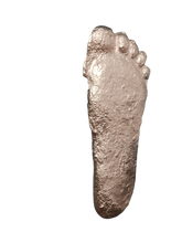 Laden Sie das Bild in den Galerie-Viewer, Gold Bigfoot Patterson &quot;Patty&quot; track footprint cast