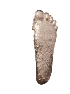 Gold Bigfoot Patterson "Patty" track footprint cast