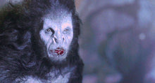 Cargar imagen en el visor de la galería, Gary Oldman Bat Bram Stokers Dracula Bat Life mask life cast Werewolf